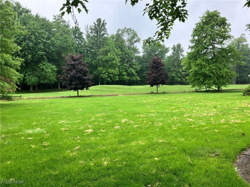 1254 Maxfli Drive, Akron, OH 44312 Photo 40