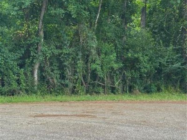 0000 SHADY Lane, Tickfaw, LA 70466