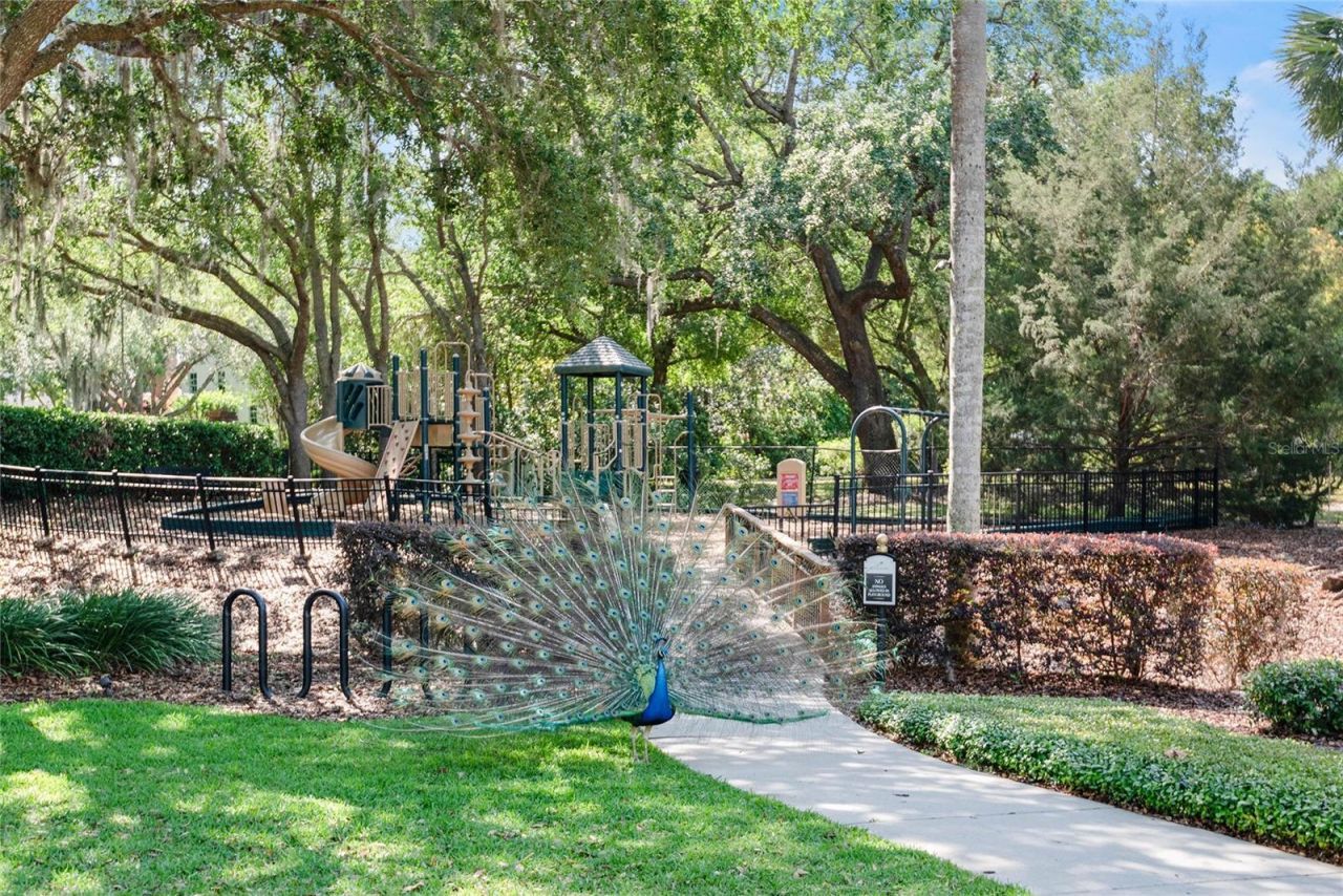 1112 Preserve Point Drive, Winter Park, FL 32789 Photo