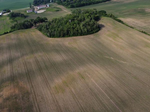 TBD 250th st E, Hampton, MN 55031