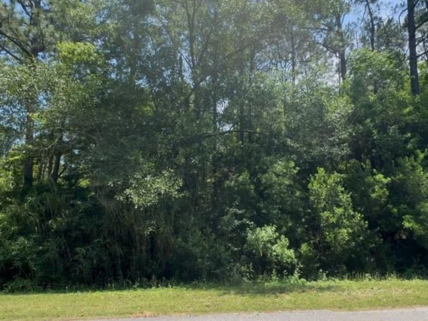 0 Thomas Road, Theodore, AL 36582
