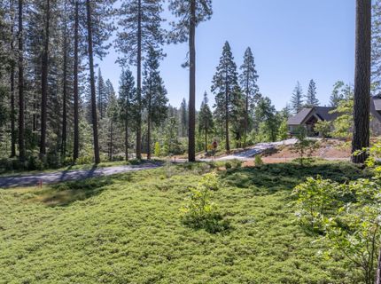 Vireo Way, Avery, CA 95224 Photo