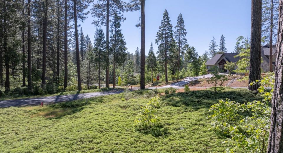 Vireo Way, Avery, CA 95224 Photo