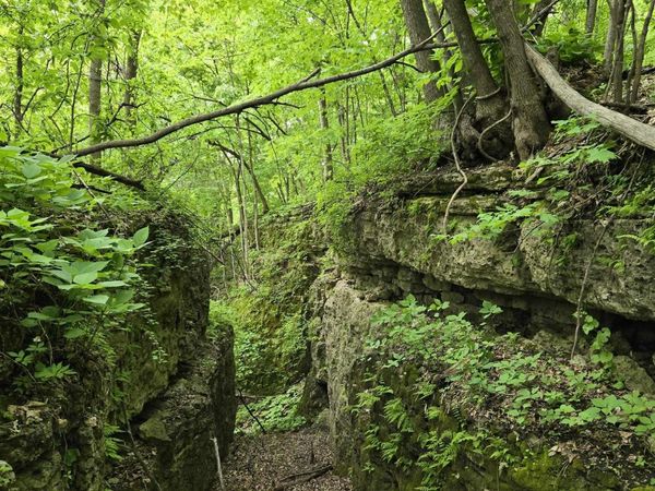 Partridge Road, Holy Cross, IA 52053