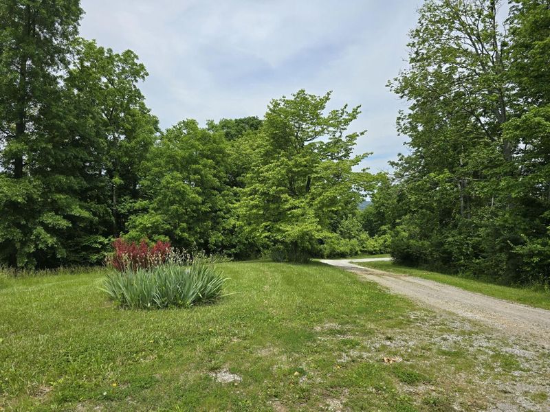 438 Ky Hwy 455, Sparta, KY 41086 Photo 11