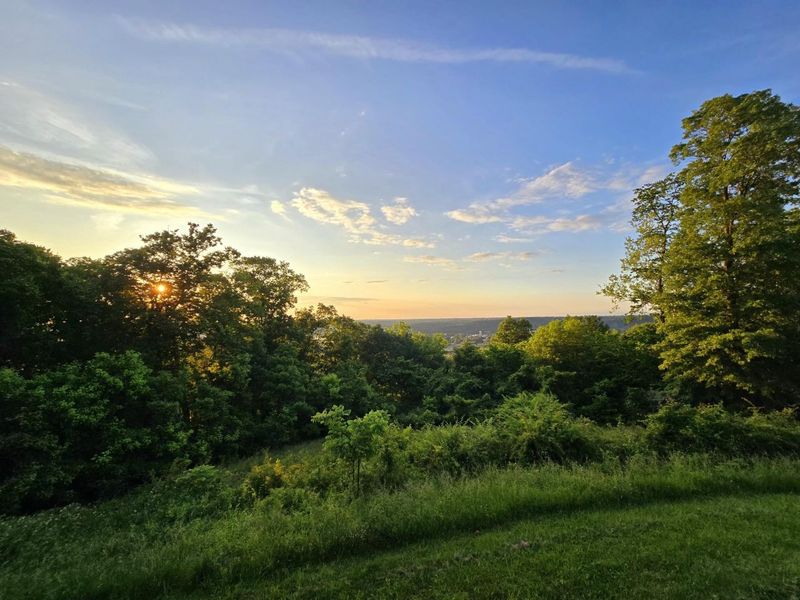 438 Ky Hwy 455, Sparta, KY 41086 Photo 4