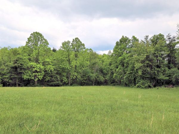 Lot 4 Franklin Pike SE, Floyd, VA 24091