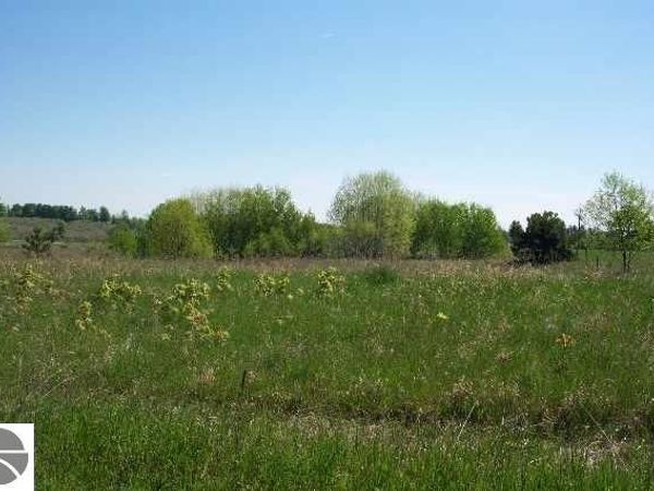 7 Torch Hills Lane, Rapid City, MI 49676