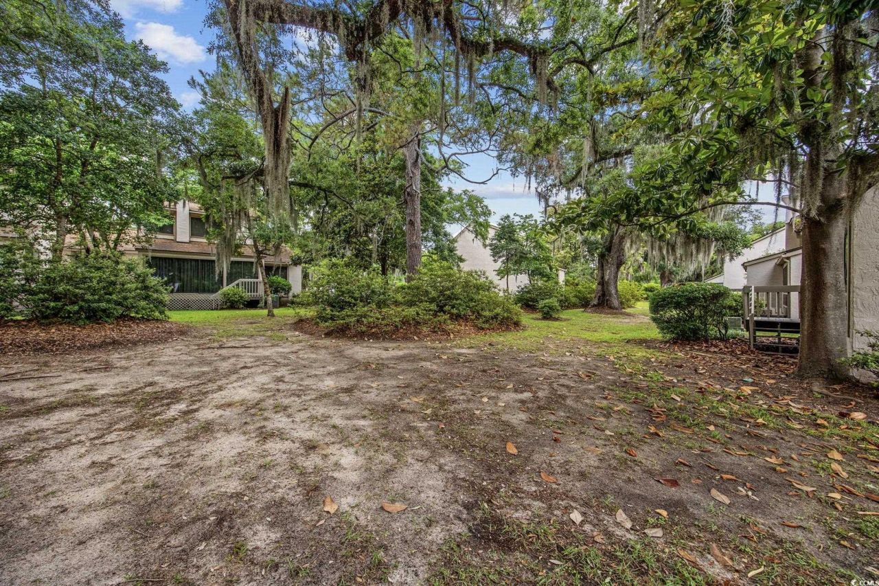 64 Bamboo Loop Photo 22