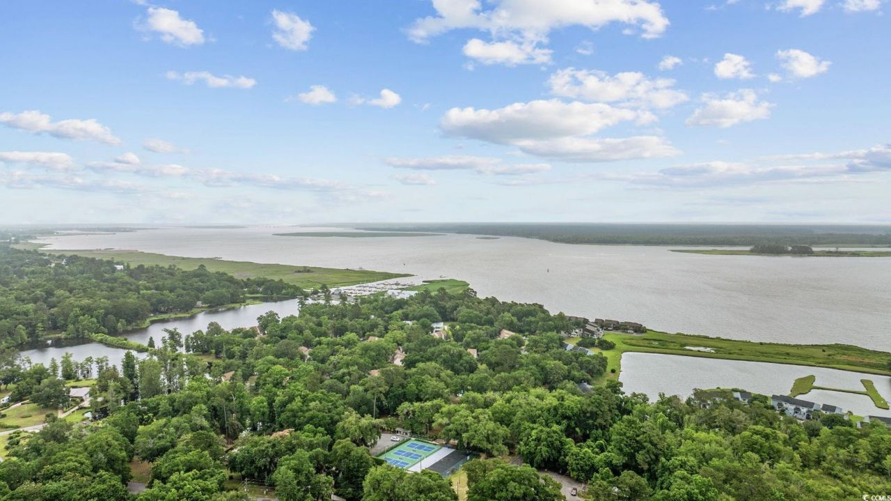 64 Bamboo Loop Photo 25