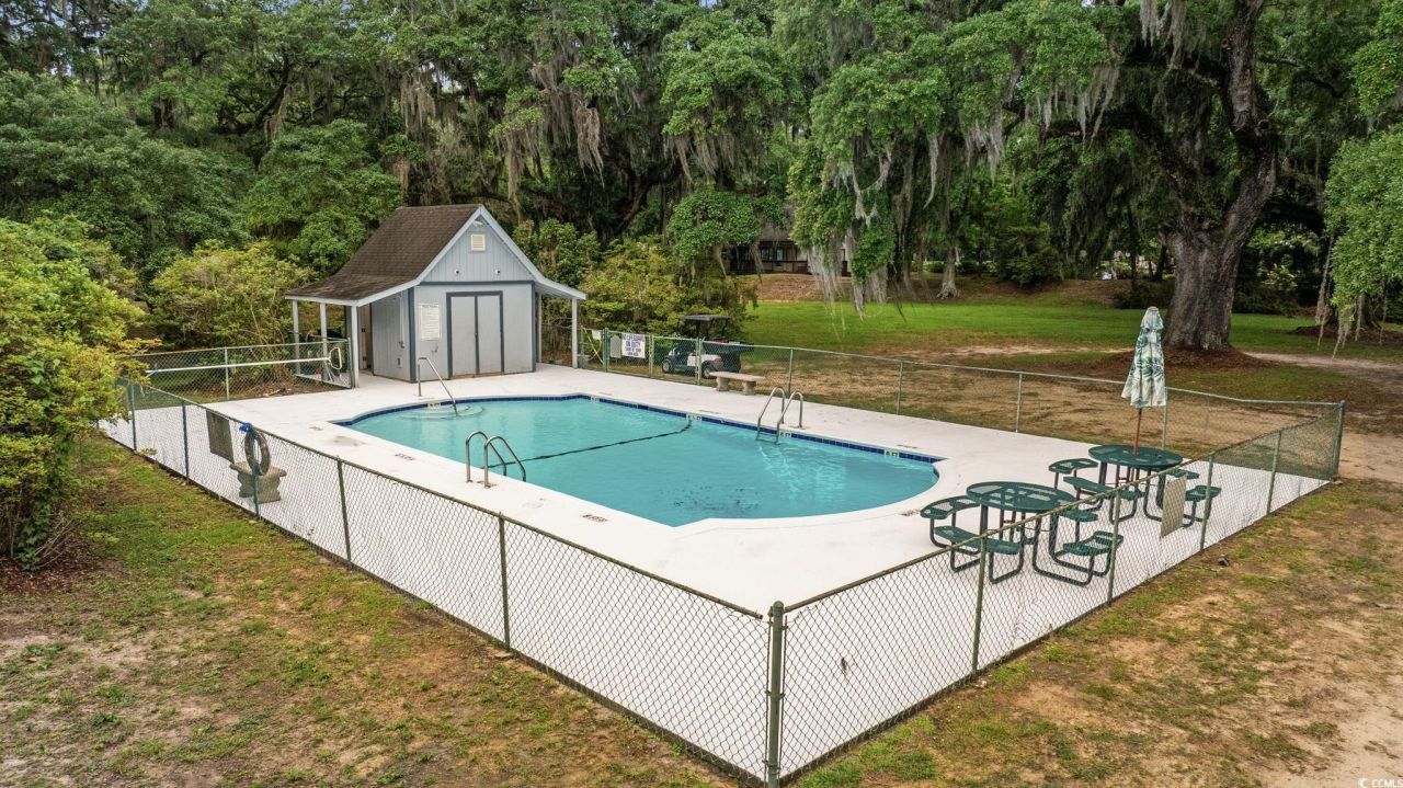 64 Bamboo Loop Photo 30