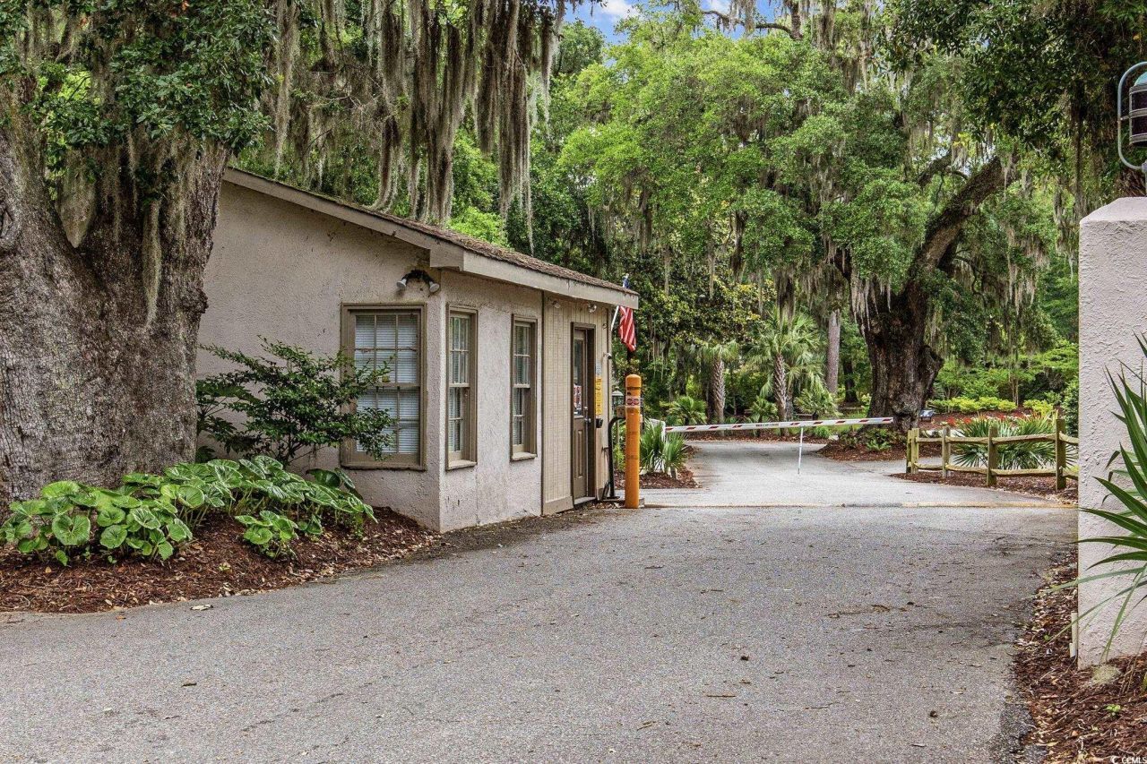 64 Bamboo Loop Photo 5