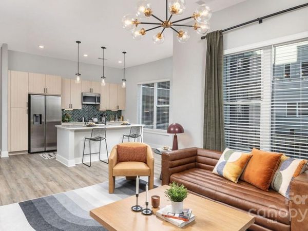 1015 N Alexander Street, Unit A6, Charlotte, NC 28206