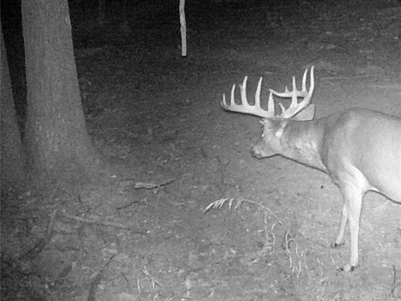 3526 Starling Road, Bethel Township, OH 45106 Photo 11