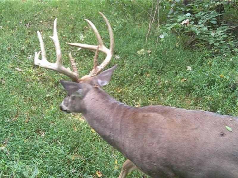 3526 Starling Road, Bethel Township, OH 45106 Photo 12