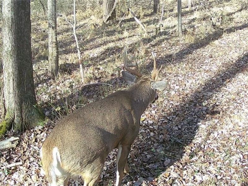 3526 Starling Road, Bethel Township, OH 45106 Photo 13