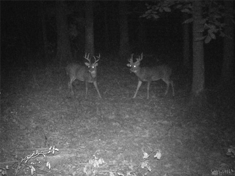 3526 Starling Road, Bethel Township, OH 45106 Photo 14