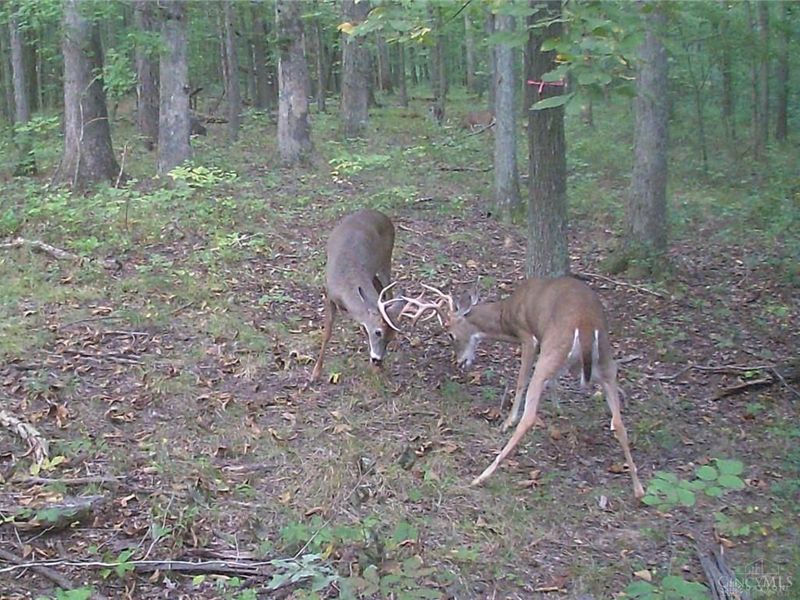 3526 Starling Road, Bethel Township, OH 45106 Photo 15