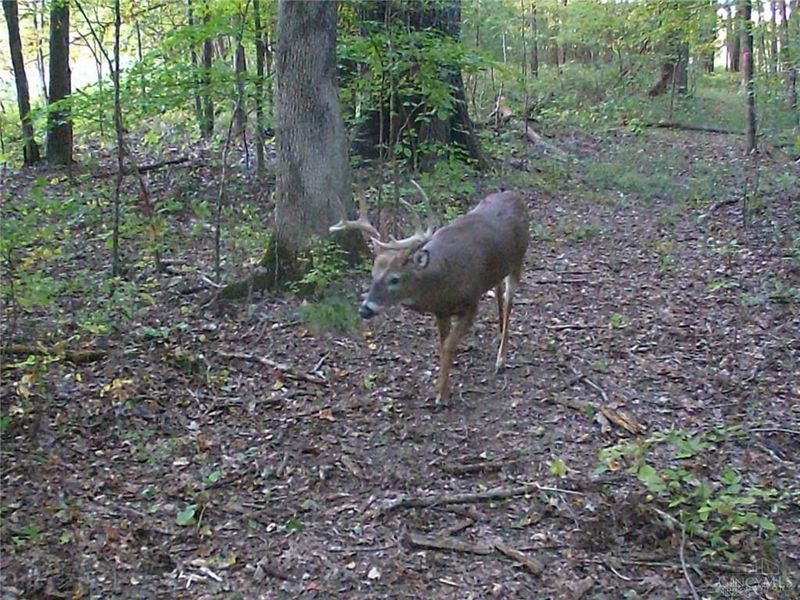 3526 Starling Road, Bethel Township, OH 45106 Photo 16