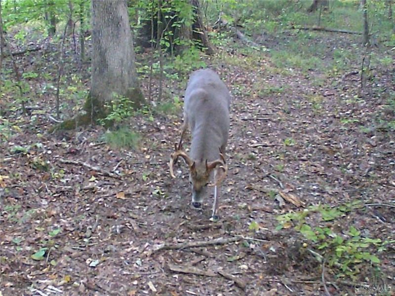 3526 Starling Road, Bethel Township, OH 45106 Photo 17