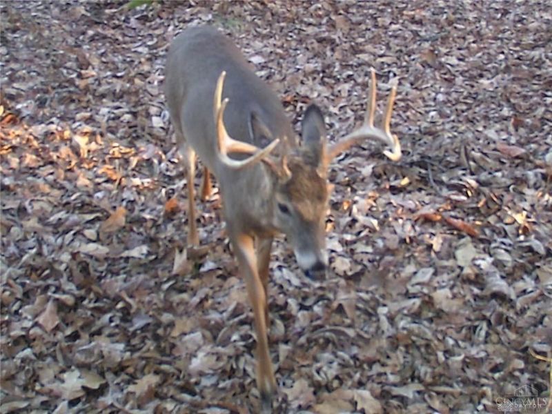 3526 Starling Road, Bethel Township, OH 45106 Photo 18