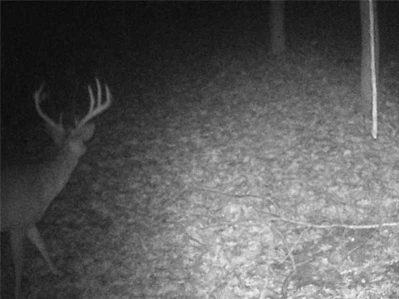 3526 Starling Road, Bethel Township, OH 45106 Photo 19