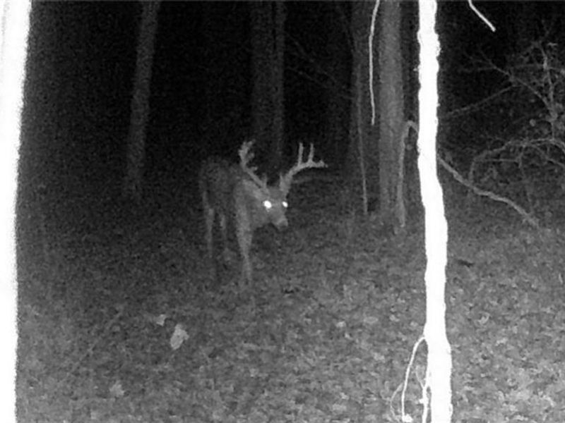 3526 Starling Road, Bethel Township, OH 45106 Photo 21