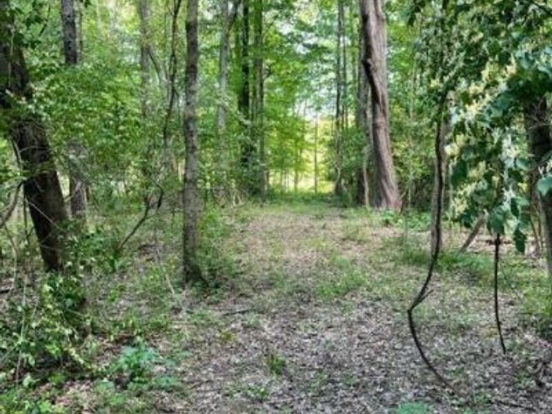 3526 Starling Road, Bethel Township, OH 45106 Photo 3