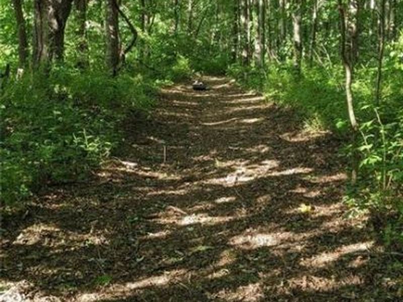 3526 Starling Road, Bethel Township, OH 45106 Photo 4