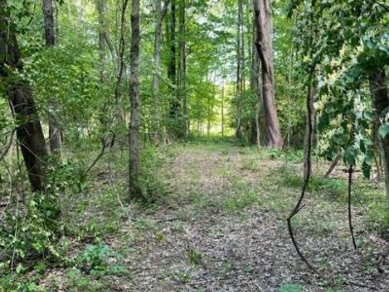 3526 Starling Road, Bethel Township, OH 45106 Photo 5