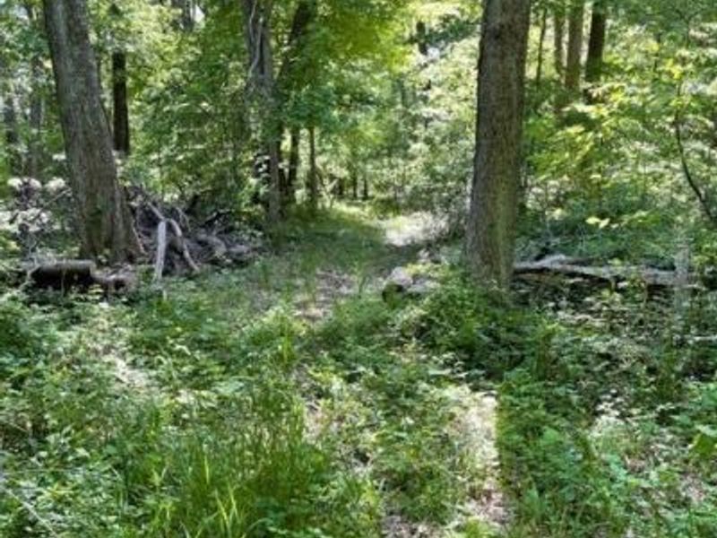 3526 Starling Road, Bethel Township, OH 45106 Photo 6