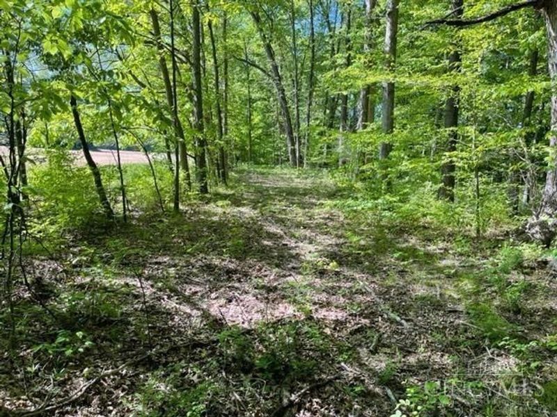 3526 Starling Road, Bethel Township, OH 45106 Photo 7