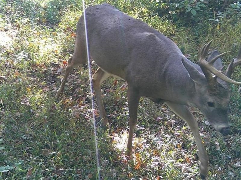 3526 Starling Road, Bethel Township, OH 45106 Photo 8