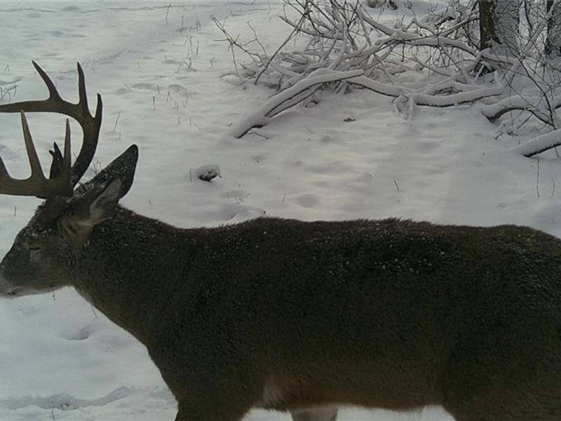 3526 Starling Road, Bethel Township, OH 45106 Photo 9