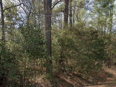 205 Ginn Altman Avenue, Hampton, SC 29924