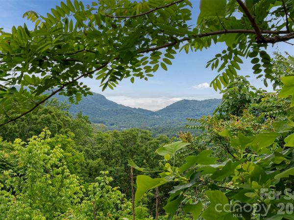 22 Samuel Ashe Drive, Asheville, NC 28805