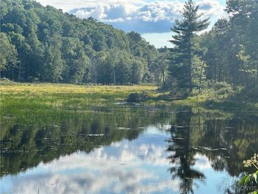 Graham Road, Harrisville, NY 13648