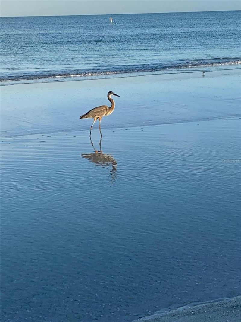 100 Bluff View Drive, Unit 514C, Belleair Bluffs, FL 33770 Photo