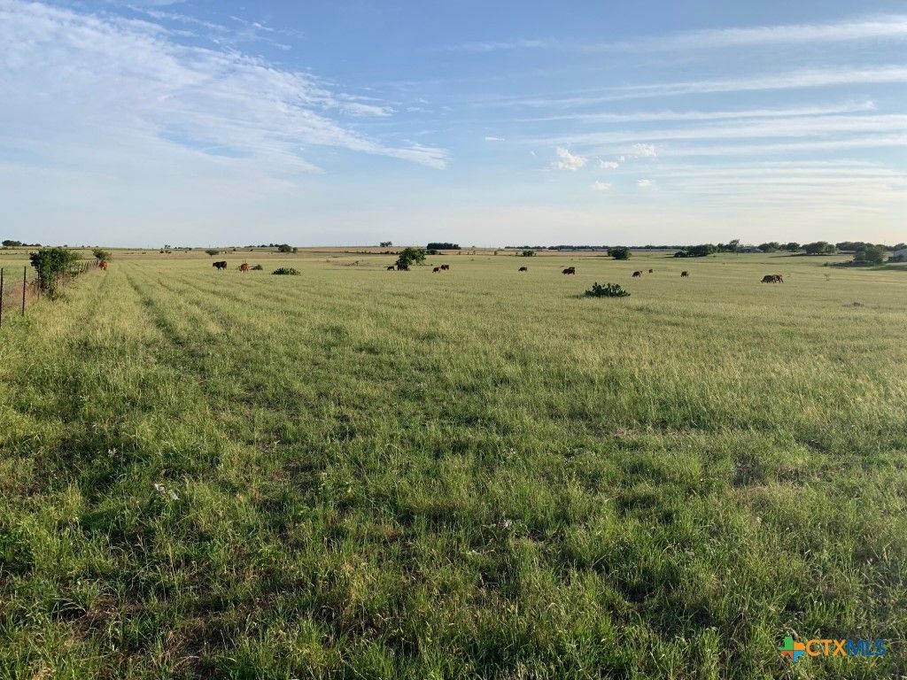 3873 Barnes Road, Salado, TX 76571 Main Photo