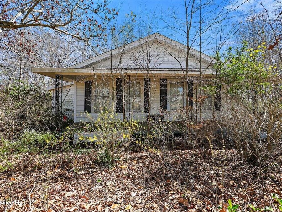Property Image 41