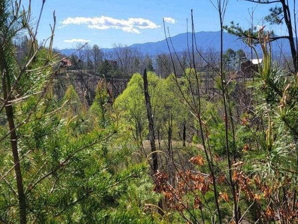 Walker Trail Tr, Sevierville, TN 37876