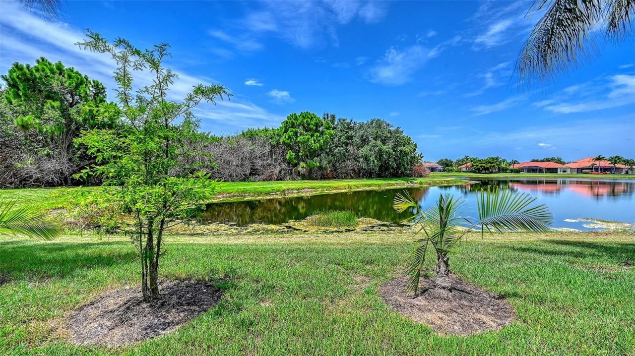12520 Natureview Circle, Bradenton, FL 34212 Photo