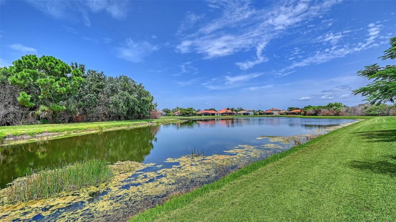 12520 Natureview Circle, Bradenton, FL 34212 Photo