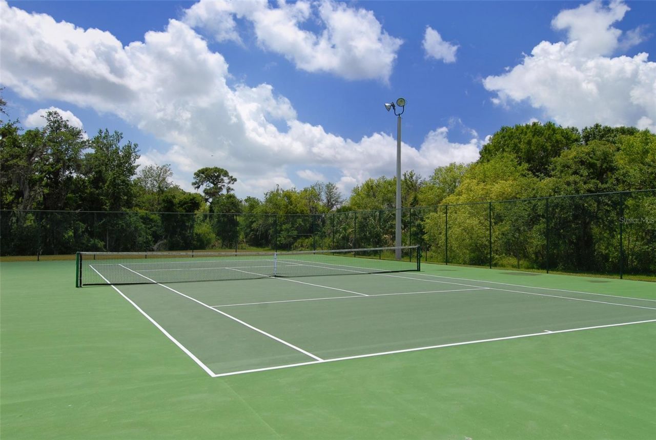 12520 Natureview Circle, Bradenton, FL 34212 Photo