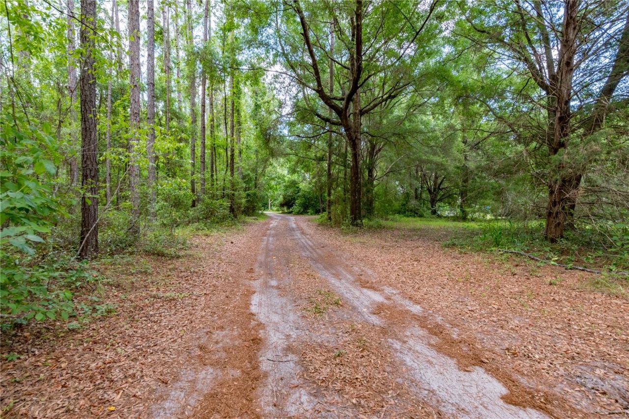 23227 W Newberry Road, Newberry, FL 32669 Photo