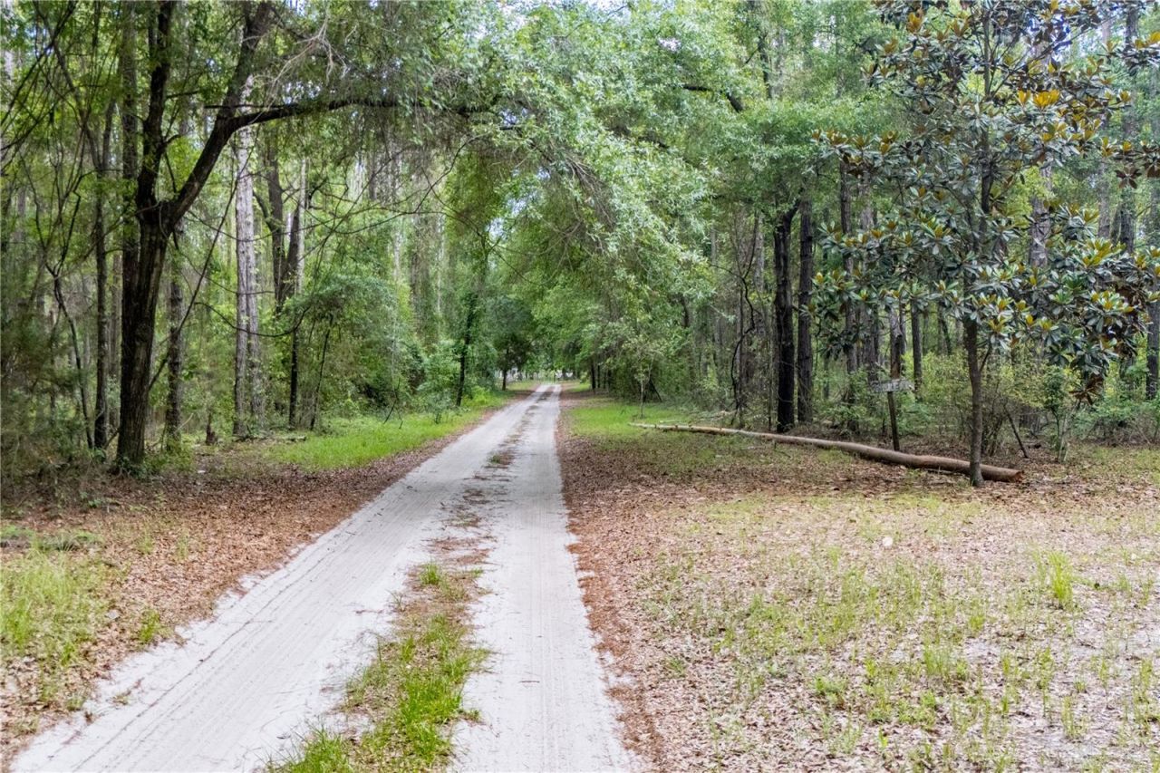 23227 W Newberry Road, Newberry, FL 32669 Photo