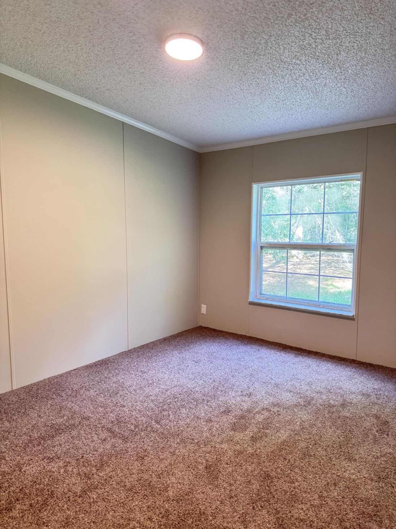 3486 Rehoboth Road Photo 29