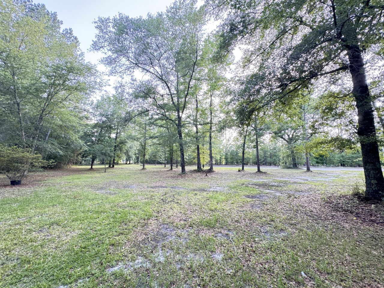 3486 Rehoboth Road Photo 76