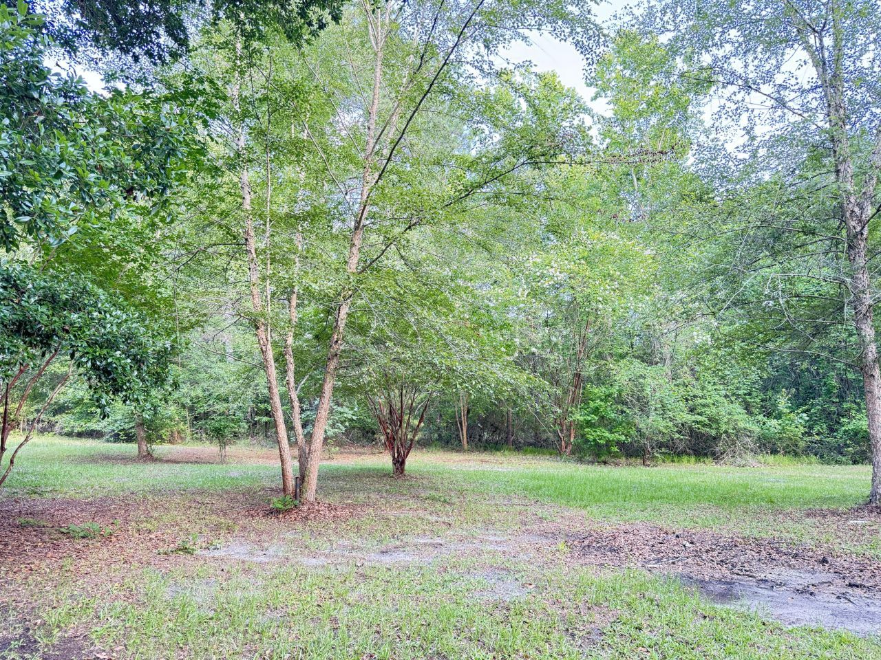 3486 Rehoboth Road Photo 77