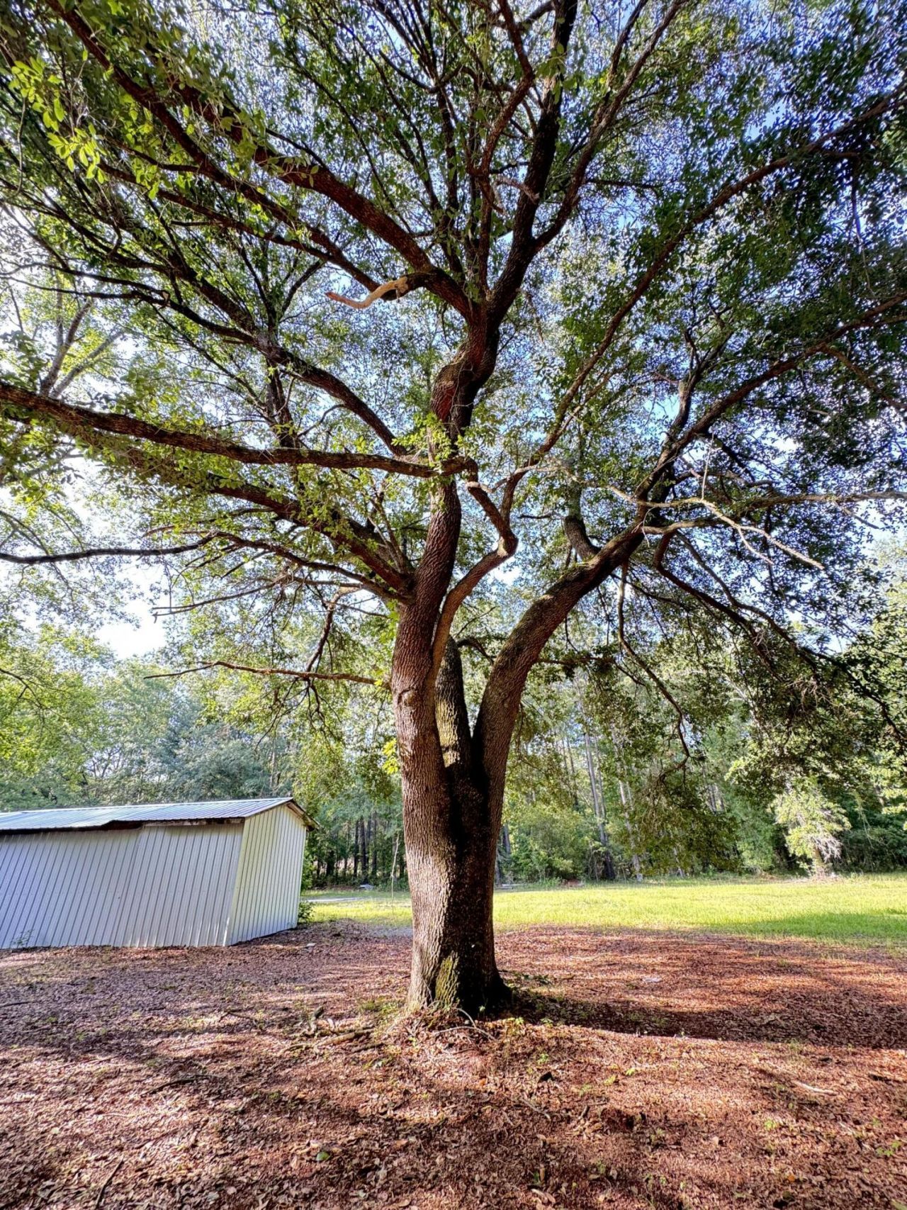 3486 Rehoboth Road Photo 83